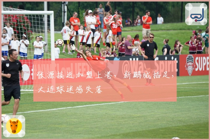 张源接近加盟上港，新鹏城插足，大连球迷感失落