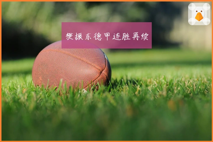 樊振东德甲连胜再续