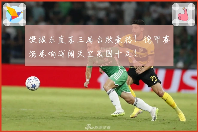 樊振东直落三局击败豪格！德甲赛场奏响海阔天空氛围十足！