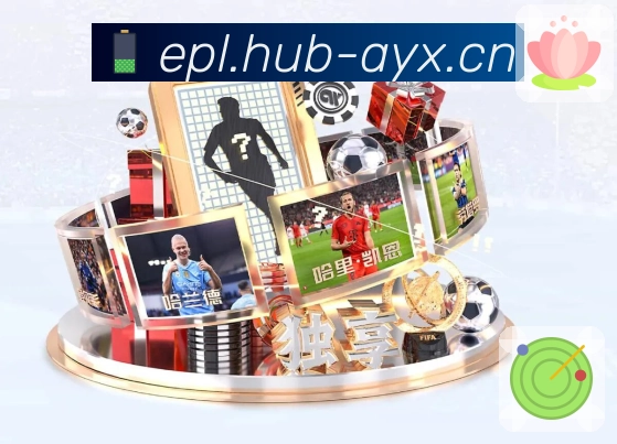 我们的服务项目